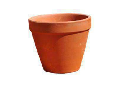 çömlek sepeti saksı